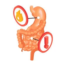 gastroenterology